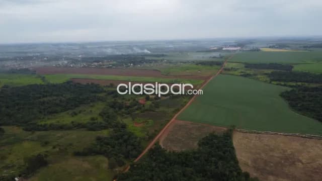 40 hectareas en minga guazu km 28 alto paraná — foto 5
