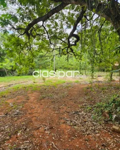 En venta terreno ideal para desarrollo inmobiliario de 9.684 m2. En Villa Elisa !!, foto 4
