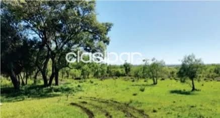 68 Hectáreas en Emboscada sobre Ruta — foto 3