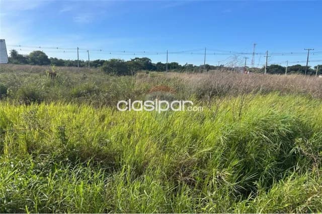 Terreno - Venta - Guarambaré, Paraguay — foto 3