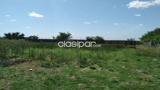 o Vendo campo en Arroyos y Esteros, foto 4