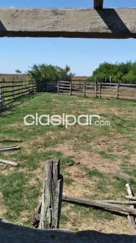 o Vendo campo en Arroyos y Esteros, foto 5