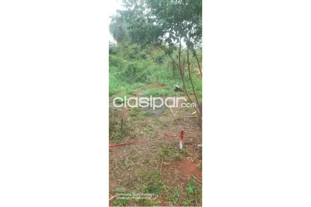 Terreno en la ciudad de Luque cañada garay — foto 3