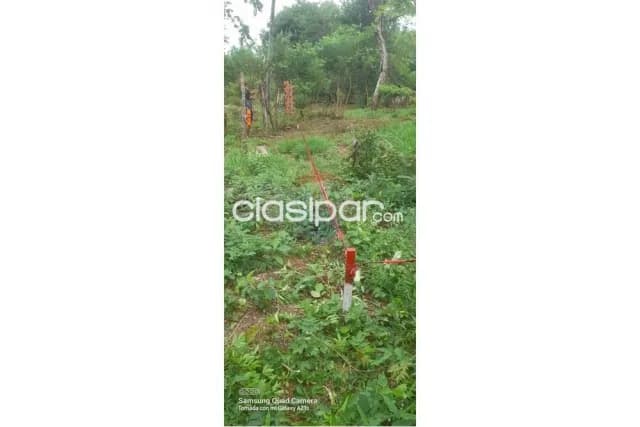 Terreno en la ciudad de Luque cañada garay — foto 4