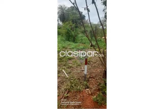 Terreno en la ciudad de Luque cañada garay — foto 5