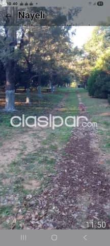 Casa quinta en eusebio ay9ala..cñia boqueron..4.664 m2.. Gs.800 millones..4 dormit, foto 4