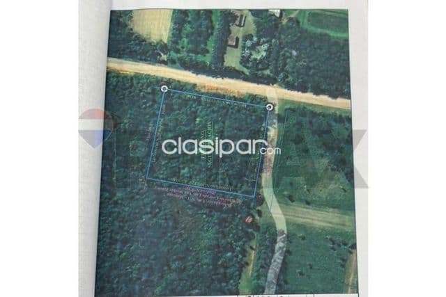 Terreno - Venta - Nueva Italia, Paraguay — foto 1