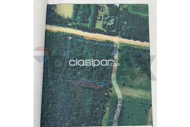 Terreno - Venta - Nueva Italia, Paraguay — foto 2