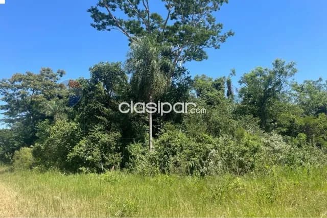 Terreno - Venta - Nueva Italia, Paraguay — foto 4