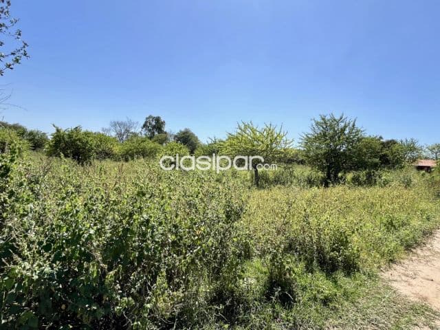 Terreno Comercial / Industrial en Nanawa - 1 Ha