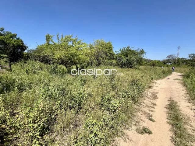 Terreno Comercial / Industrial en Nanawa - 1 Ha, foto 5