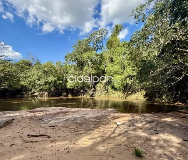 Campo Agrícola/Ganadero en Acahay - 150 Ha, foto 3