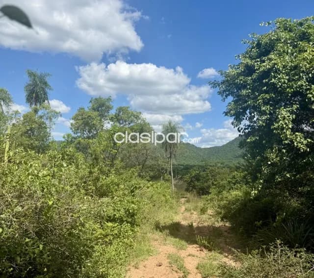 Campo Agrícola/Ganadero en Acahay - 150 Ha, foto 4