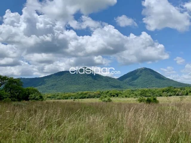 Campo Agrícola/Ganadero en Acahay - 150 Ha, foto 5