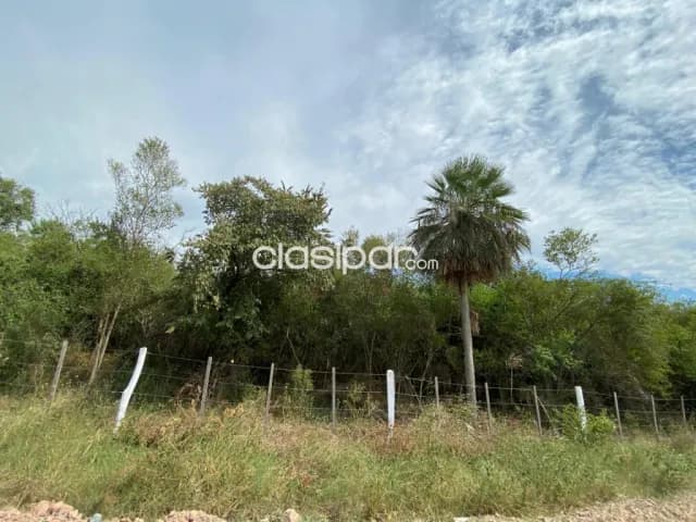 Terreno Rural en Nueva Asunción - 4 Ha, foto 3