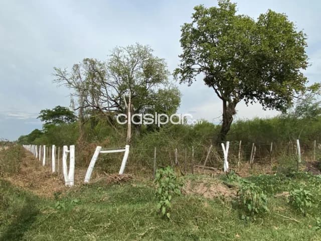 Terreno Rural en Nueva Asunción - 4 Ha, foto 4