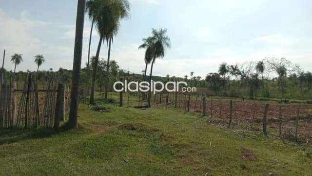 16 hectareas en cordillera — foto 2