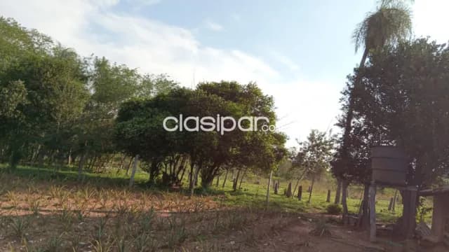 16 hectareas en cordillera — foto 3
