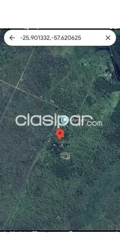 Estancia de 650 hectáreas villeta colonia estanzuela — foto 3