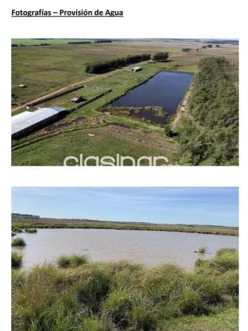 Estancia sobre ruta en paraguarí, foto 5