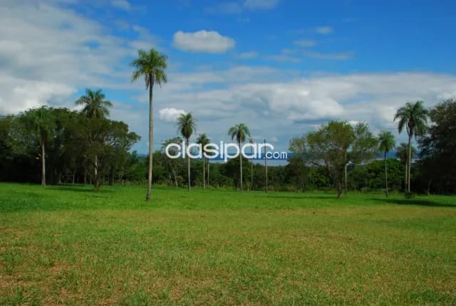 Ciervo cua, sanber: Inigualables 14.980 + 8.000 m2 c/ vista panoramica al lago — foto 3