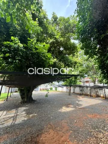 Oficina en alquiler en Barrio Herrera — foto 4