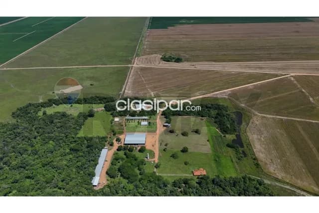 🌾 Granja Agrícola en Venta – General Artigas, Itapúa | 4.607 Hectáreas Productivas, foto 2