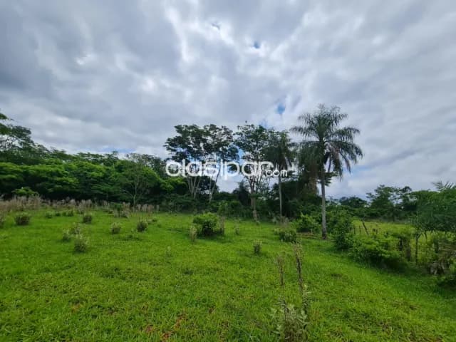 Santaní – 10 Has a 2 km de Ruta 8, foto 4