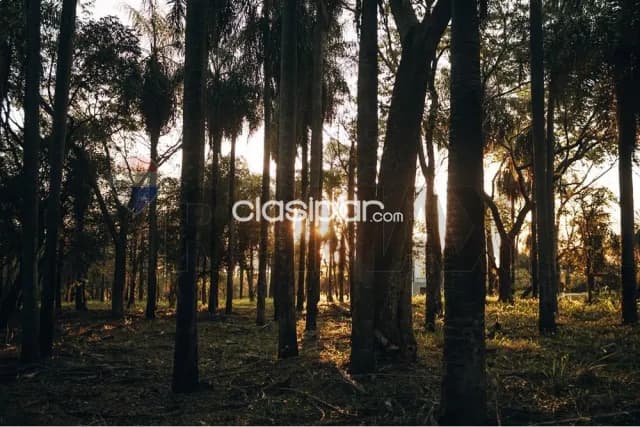 Terreno De 647 m2 - Venta - San Bernardino Ciervo Kua, Paraguay — foto 5