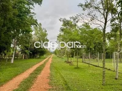 Terreno de 920 m2 en villa real - el cortijo San Bernardino, foto 2