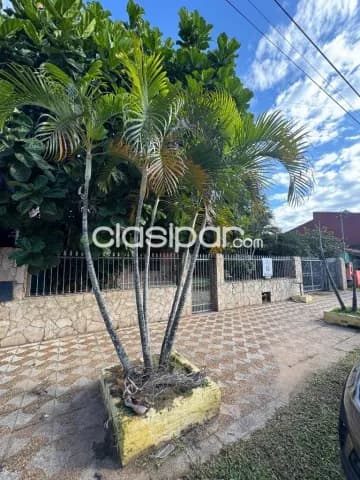 CASA en el centro de Mariano Roque Alonso, a pasos de la Ruta Transchaco, foto 5