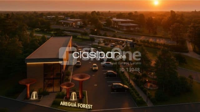Lotes aregua forest