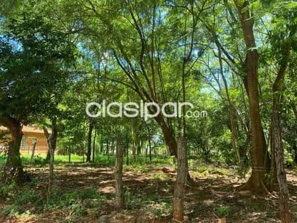 Terreno en limpio zona salado cod 5387
