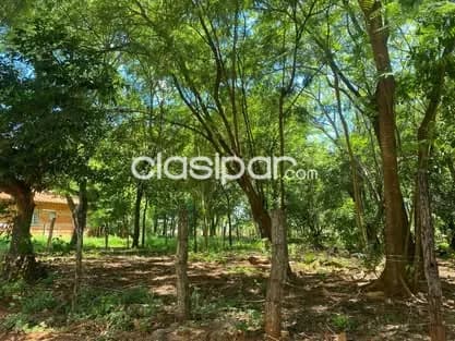 Terreno en limpio zona salado cod 5387 — foto 2
