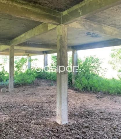 Benjamin aceval - cerrito - 55,000 m2 - se puede para lotear, foto 4