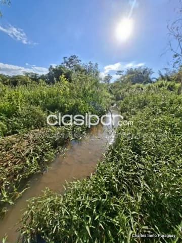 Quinta 12,9 ha con casa – La Colmena — foto 4