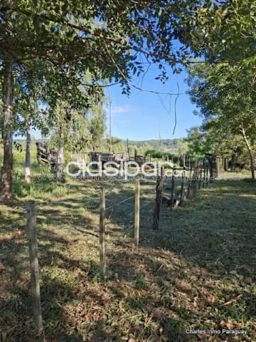 Quinta 12,9 ha con casa – La Colmena — foto 5