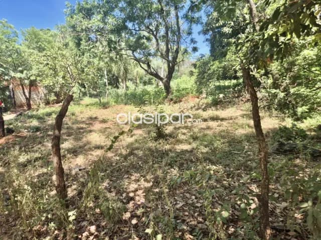 Oferto terreno en capiata - zona posta ybycua, foto 4