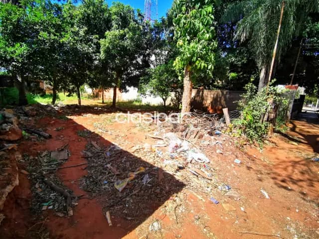Terreno fernando Sur — foto 2