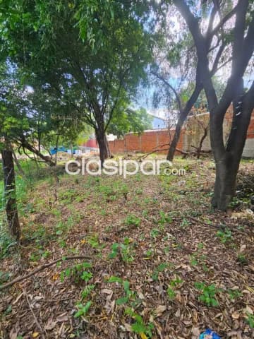 Terreno de 12x30 en Lambare zona Carretera de Lopez y Colegio SEK barrio Puerto Pabl — foto 3