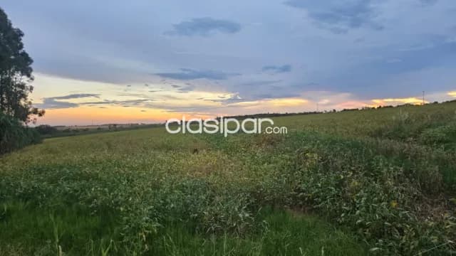 granja de 37.5 has. en Yguazu – Alto Parana, foto 4
