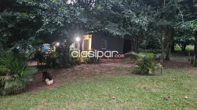granja de 37.5 has. en Yguazu – Alto Parana, foto 5