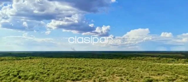 Campo Agrícola/ Ganadero en Punta Riel - 2970 Ha — foto 3