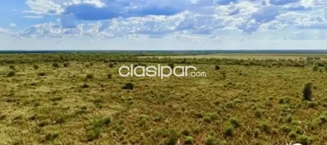 Campo Agrícola/ Ganadero en Punta Riel - 2970 Ha — foto 4