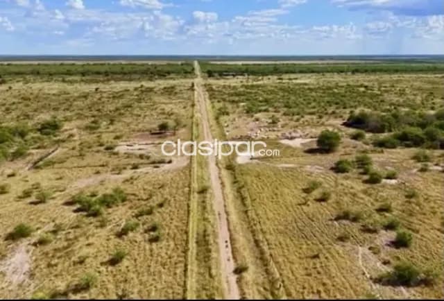 Campo Agrícola/ Ganadero en Punta Riel - 2970 Ha — foto 5