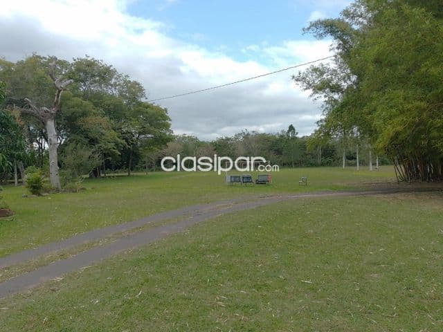 Granja en Pirayú sobre Ruta Pavimentada - 19 Ha