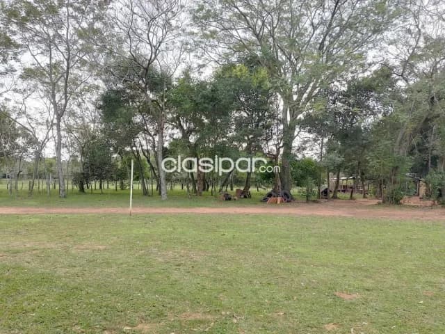 Granja en Pirayú sobre Ruta Pavimentada - 19 Ha, foto 4
