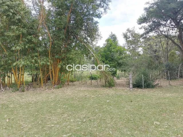 Granja en Pirayú sobre Ruta Pavimentada - 19 Ha, foto 5