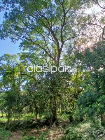 Terreno en alquiler en zona comercial de Areguá, foto 5