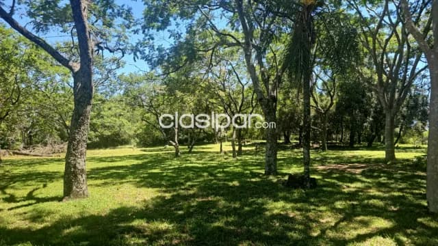Granja en Altos con vistas al Lago Ypacarai - 5 Ha — foto 3